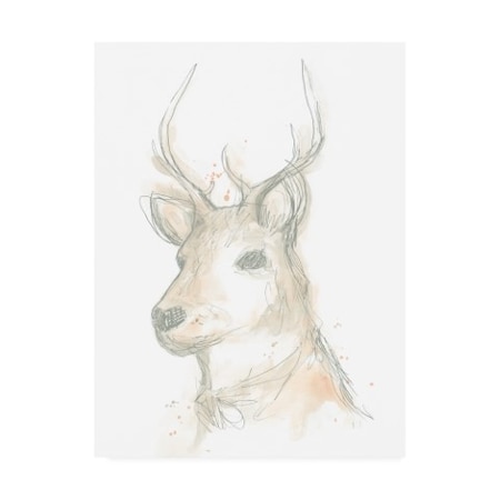 June Erica Vess 'Deer Cameo Iii' Canvas Art,18x24